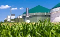 Le Maroc et l'Allemagne engagés dans l'exportation de l'hydrogène vert