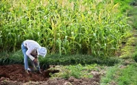 Melkisation des terres collectives : lancement d'un programme au profit des agriculteurs marocains