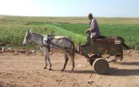 Les Marocains très préoccupés par les changements climatiques