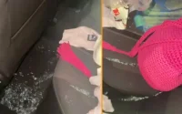 Des voitures ciblées par des jets de pierres sur des autoroutes marocaines