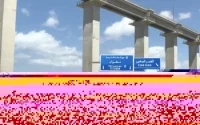 L'autoroute Tanger Med : un danger pour les automobilistes