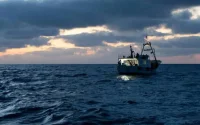 Les bateaux espagnols délaissent les eaux marocaines