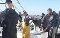 Des bateaux espagnols autorisés à pêcher dans les eaux marocaines