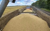 Une importante cargaison de céréales quitte l'Ukraine pour le Maroc