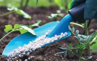 Engrais : le Brésil demande l'aide du Maroc