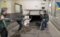 Trois camionneurs marocains arrêtés avec 500 kilos de haschisch au port d'Algésiras (vidéo)