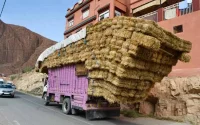 Transport routier : le renouvellement du parc préoccupe le gouvernement