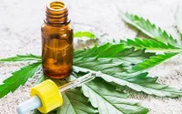 Cannabis : 86% des Marocains favorables à son usage thérapeutique