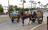 Casablanca perd sa guerre contre les charrettes