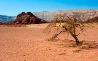 Maroc-Israël : bientôt la création d'un centre dédié à l'agriculture du désert
