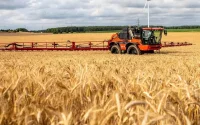 Céréales : le Maroc se fournit en Amérique du Sud