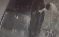 Maroc : un homme condamné pour avoir tué un chat
