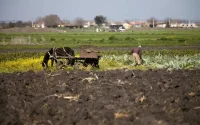 L'économie marocaine a dégringolé de 6,3% en 2020