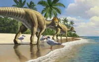 Étonnante découverte de fossiles de dinosaures au Maroc
