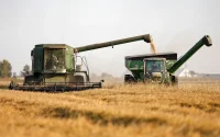 Les agriculteurs américains appellent le Maroc à l'aide