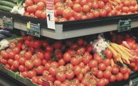 Tomate marocaine : vers une hausse des exportations en Europe ?