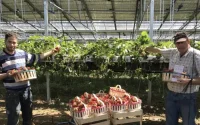 Drôme : un agriculteur se bat pour empêcher l'expulsion de son ouvrier marocain
