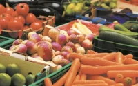 Exportations de produits frais vers le Royaume-Uni : le Maroc en passe de surclasser l'Espagne