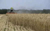 Produits agricoles : la Russie prête à fournir le Maroc