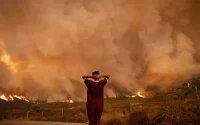 Feux à Chefchaouen : déjà 725 hectares partis en fumée