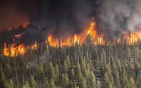 Maroc : des centaines d'hectares de forêts ravagés par le feu