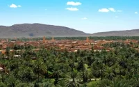 Algérie : vers une issue favorable pour les agriculteurs marocains ?
