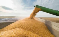 Le Maroc mange essentiellement du pain français