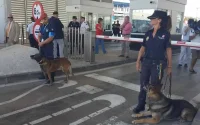 Sécurité aux frontières : Frontex prête à agir « immédiatement » à Ceuta