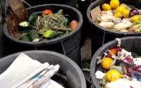 Gaspillage alimentaire : les Marocains battent des records de gâchis