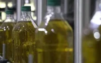 Maroc : l'huile d'olive à 150 dirhams ?