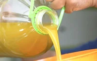 Huile d'olive au Maroc : alerte à la fraude !