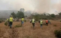 Maroc : les feux de forêt font fuir des centaines de familles