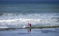 Les raisons de l'exode des Marocains aux Pays-Bas