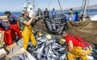 Accords de pêche avec l'UE : la justice rend une décision défavorable pour le Maroc