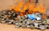 Une importante quantité de drogue brûlée à Kénitra