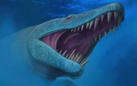 Ce prédateur aux dents de poignard dominait les mers marocaines avant les dinosaures