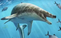 Un monstre des mers du Jurassique découvert au Maroc