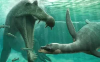 Une découverte au Maroc nous éclaire sur le Loch Ness