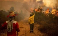 Maroc : un mort et un blessé dans l'incendie de forêt dans la commune de Galaz