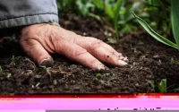 Le Maroc profite grandement de la forte augmentation des ventes de phosphate