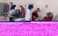 En un an, la gestion du Covid-19 au Maroc a été un succès