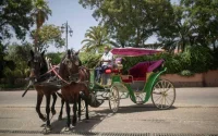 Vacances : le Maroc sur la liste verte pour les Britanniques ?
