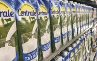 Le Maroc manque de lait