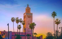 Maroc : les palmiers, les mal-aimés