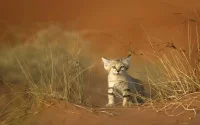 Maroc : nouveaux pics de chaleur (47 degrés) ce début de semaine