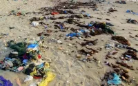 Maroc : les plages à éviter cet été