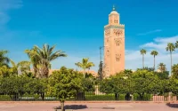 Au Maroc, une croisade contre les palmiers