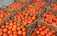 Le Maroc soutient ses agriculteurs