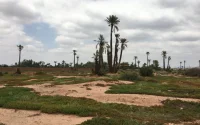 Le Maroc s'attaque aux fraudeurs de la taxe sur les terrains non bâtis