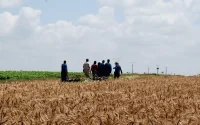 Le Maroc fait le ménage dans les occupations illégales de terres